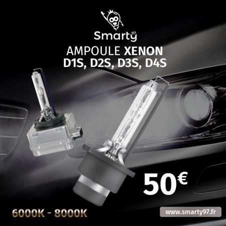 AMPOULES XENON D1S 6000K 35W x2